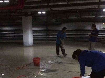 特马王中