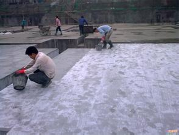 特马王中