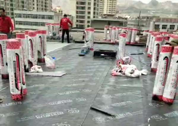 特马王中