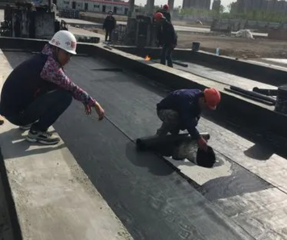 特马王中