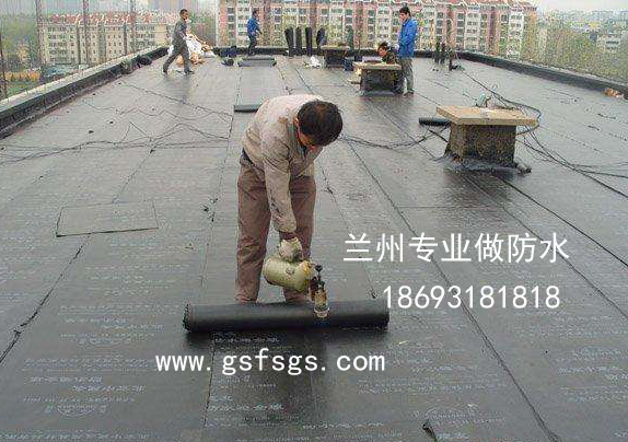 特马王中