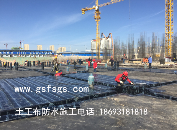 特马王中