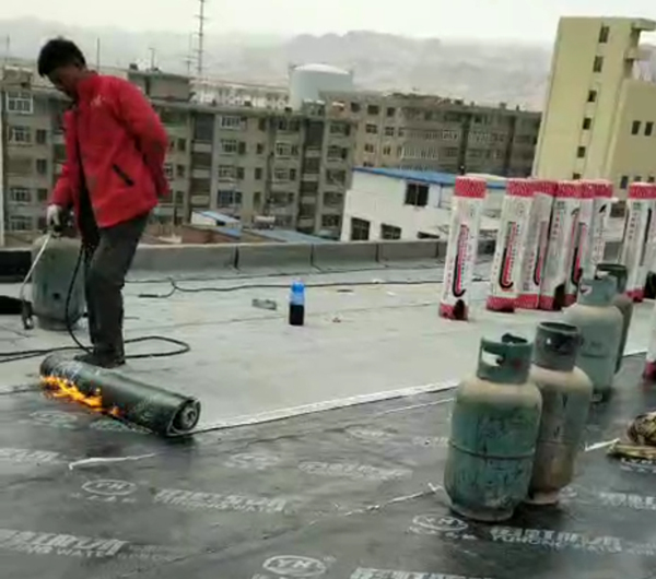 特马王中