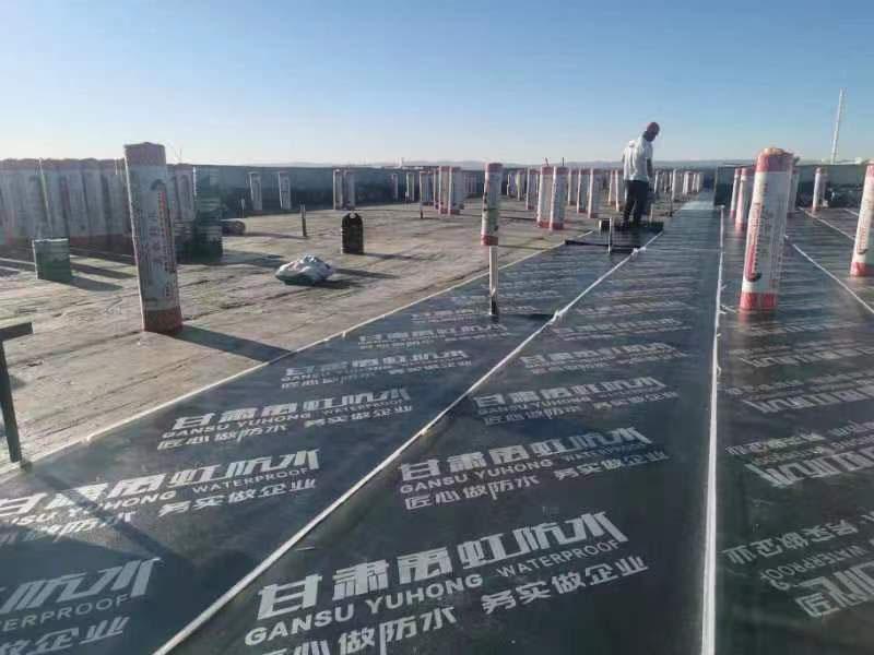 特马王中