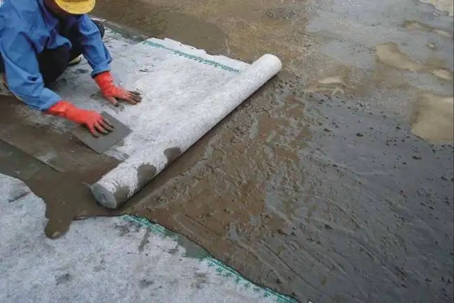 特马王中