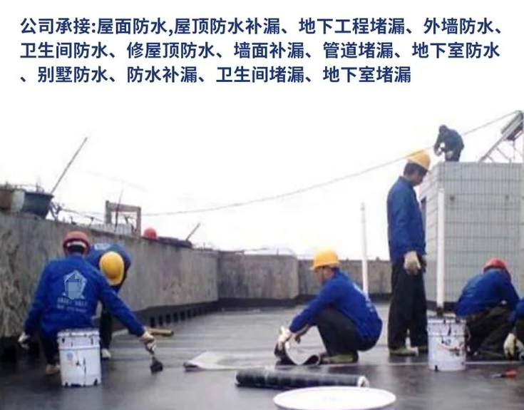 特马王中